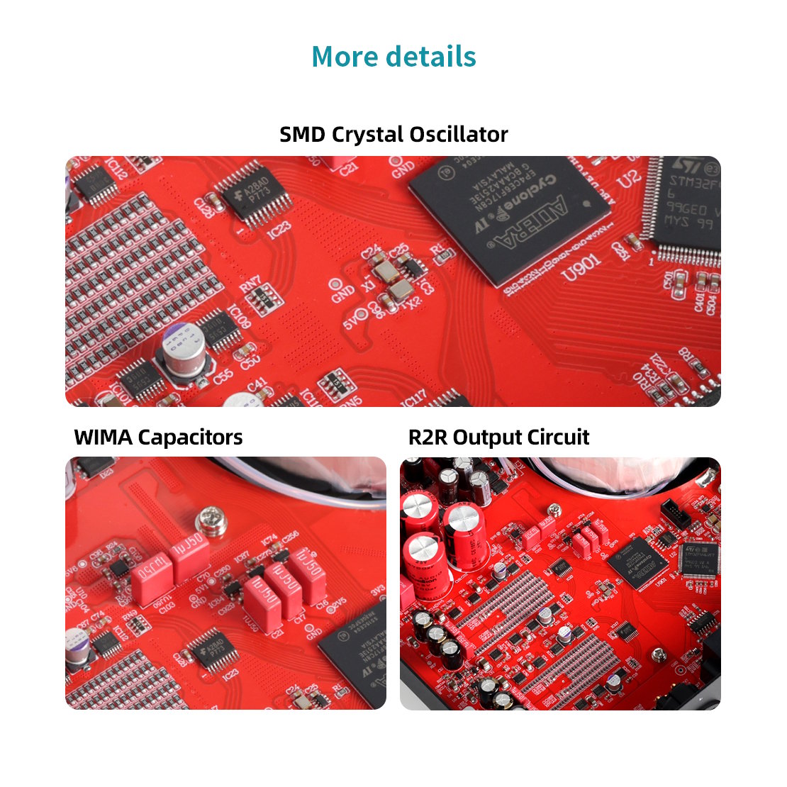 Musician Audio - DELPHINUS